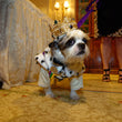 Load image into Gallery viewer, The Mystic Krewe of Barkus 2025 Royal Ball Individual Ticket (Individual Tickets - No Reserved Seating)