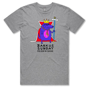 Barkus Sunday T-Shirt in Grey