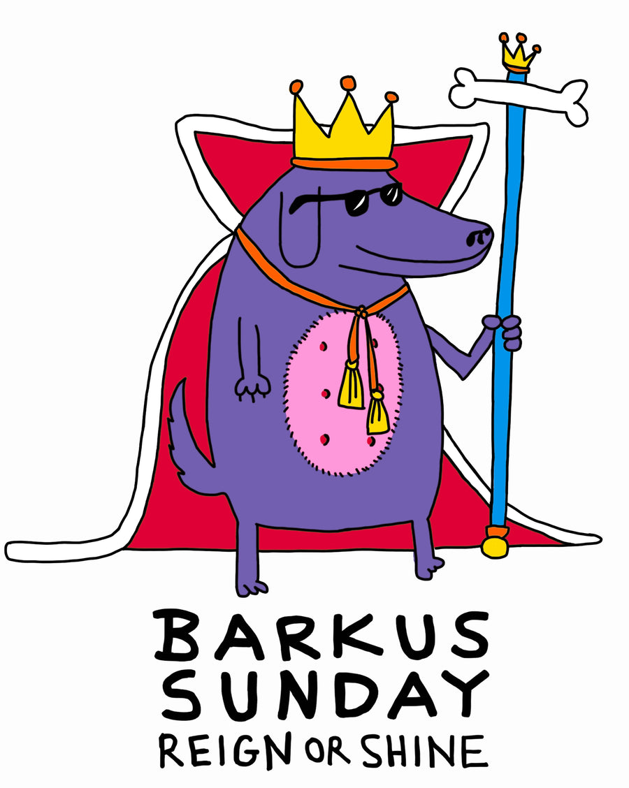 Barkus Sunday T-Shirt in Grey