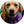 Load image into Gallery viewer, The Mystic Krewe of Barkus 2024 Royal Ball Individual Ticket (Individual Tickets - No Reserved Seating)
