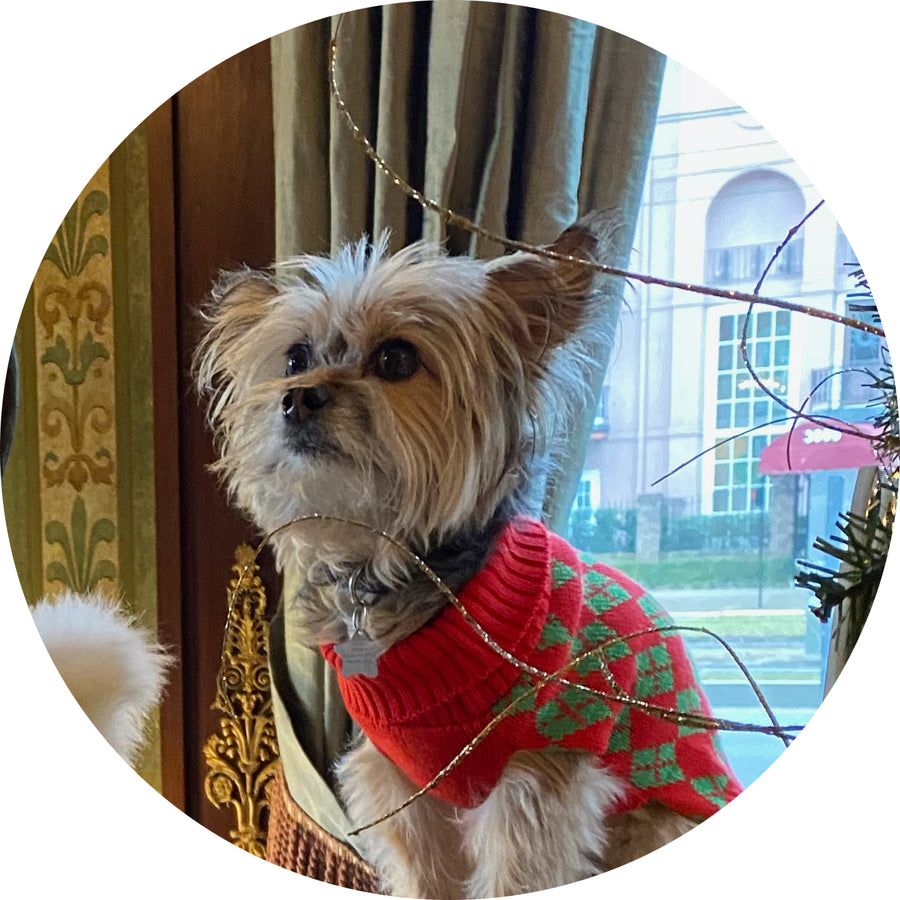 $25 Barkus 2023 Raffle 1 ticket (click to see prizes)