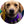 Load image into Gallery viewer, The Mystic Krewe of Barkus 2023 Royal Ball Individual Ticket (Individual Tickets - No Reserved Seating)
